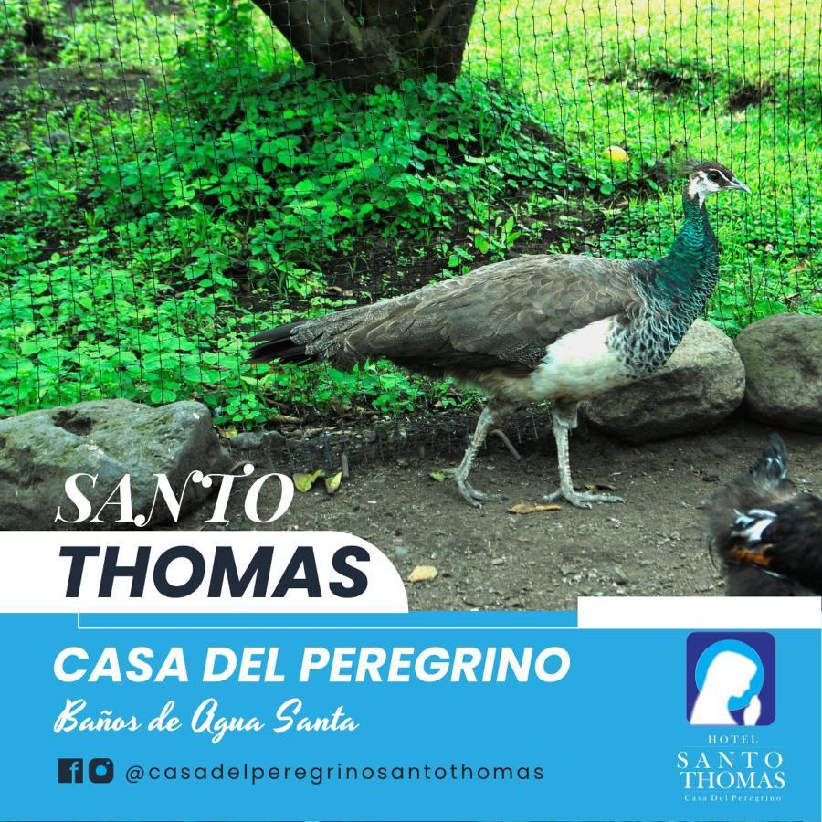 Hotel Casa Del Peregrino Santo Thomas Baños Exteriér fotografie